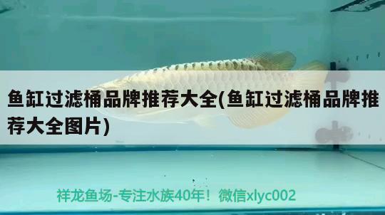 魚缸過濾桶品牌推薦大全(魚缸過濾桶品牌推薦大全圖片)