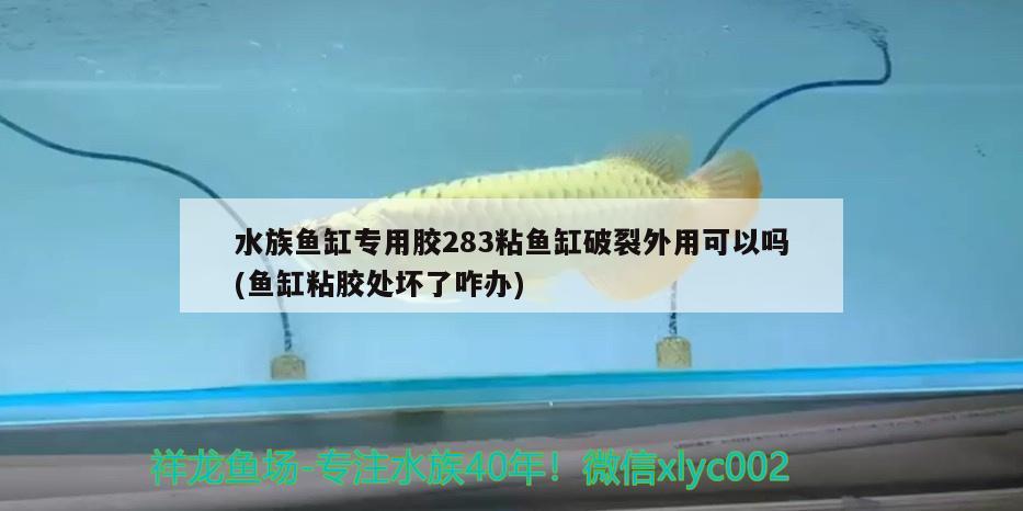 水族魚缸專用膠283粘魚缸破裂外用可以嗎(魚缸粘膠處壞了咋辦)