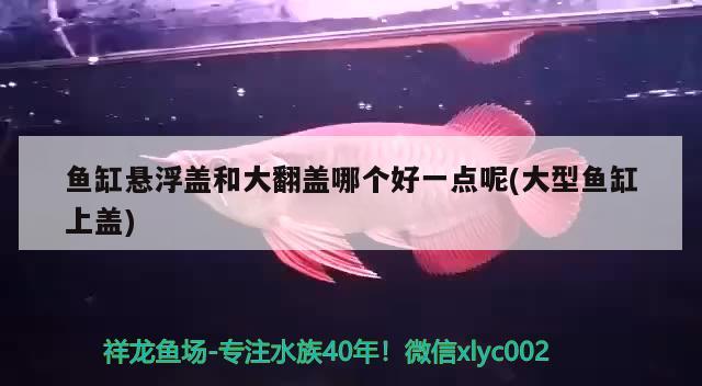 魚缸懸浮蓋和大翻蓋哪個好一點(diǎn)呢(大型魚缸上蓋)