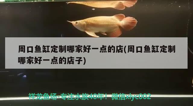 周口魚缸定制哪家好一點的店(周口魚缸定制哪家好一點的店子) 魚缸清潔用具