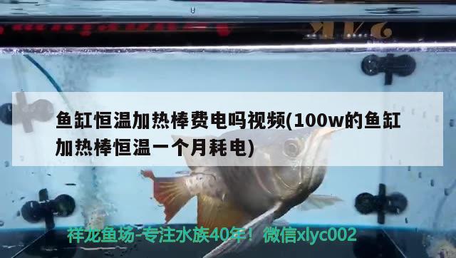 魚缸恒溫加熱棒費(fèi)電嗎視頻(100w的魚缸加熱棒恒溫一個(gè)月耗電)