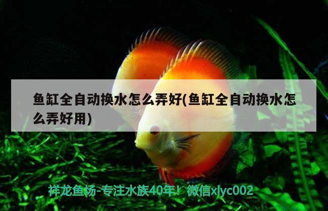 魚缸全自動換水怎么弄好(魚缸全自動換水怎么弄好用)