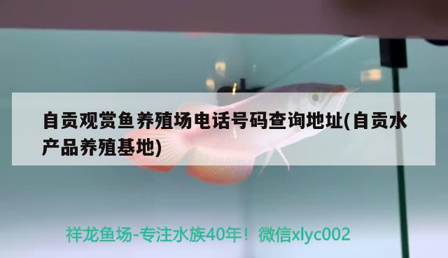 自貢觀賞魚養(yǎng)殖場(chǎng)電話號(hào)碼查詢地址(自貢水產(chǎn)品養(yǎng)殖基地) 赤焰中國(guó)虎魚