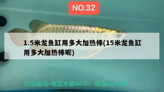 1.5米龍魚缸用多大加熱棒(15米龍魚缸用多大加熱棒呢) 黃金達(dá)摩魚