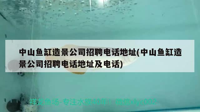 中山魚缸造景公司招聘電話地址(中山魚缸造景公司招聘電話地址及電話) 大正錦鯉魚