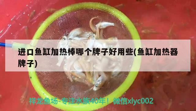 進(jìn)口魚缸加熱棒哪個(gè)牌子好用些(魚缸加熱器牌子) 龍魚芯片掃碼器