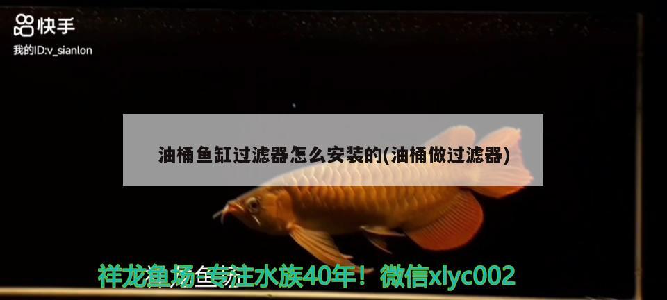 油桶魚缸過(guò)濾器怎么安裝的(油桶做過(guò)濾器)