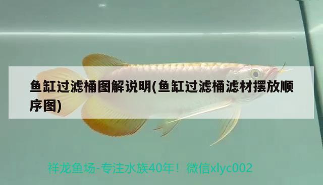 魚(yú)缸過(guò)濾桶圖解說(shuō)明(魚(yú)缸過(guò)濾桶濾材擺放順序圖) 招財(cái)戰(zhàn)船魚(yú)