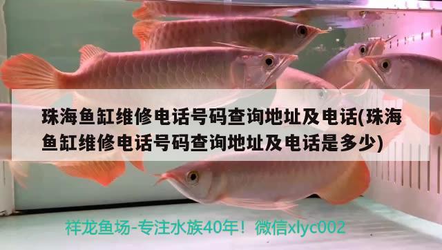 珠海魚缸維修電話號(hào)碼查詢地址及電話(珠海魚缸維修電話號(hào)碼查詢地址及電話是多少) 紅眼黃化幽靈火箭魚|皇家火箭魚 第2張