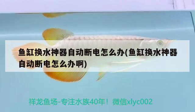 魚缸換水神器自動斷電怎么辦(魚缸換水神器自動斷電怎么辦啊) 帝王三間魚