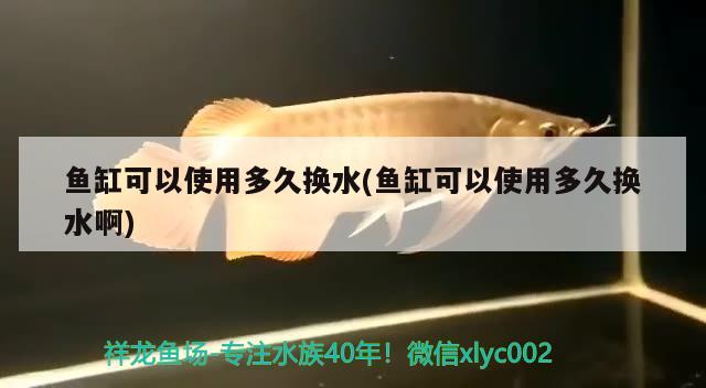 魚缸可以使用多久換水(魚缸可以使用多久換水啊) 銀古魚苗