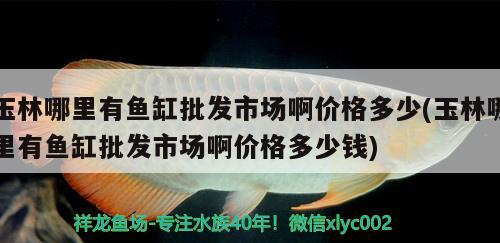 玉林哪里有魚缸批發(fā)市場(chǎng)啊價(jià)格多少(玉林哪里有魚缸批發(fā)市場(chǎng)啊價(jià)格多少錢)