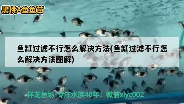 魚(yú)缸過(guò)濾不行怎么解決方法(魚(yú)缸過(guò)濾不行怎么解決方法圖解)