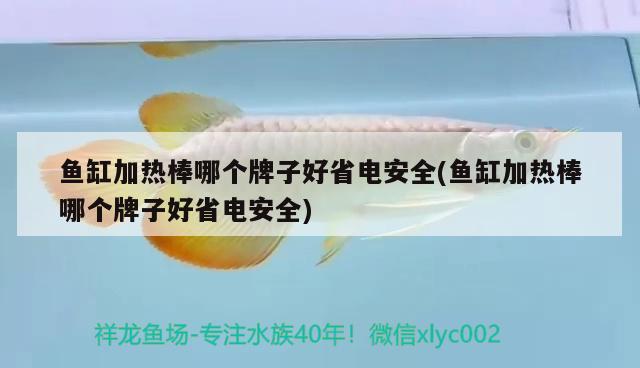 魚(yú)缸加熱棒哪個(gè)牌子好省電安全(魚(yú)缸加熱棒哪個(gè)牌子好省電安全) 星點(diǎn)金龍魚(yú)