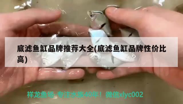 底濾魚缸品牌推薦大全(底濾魚缸品牌性價比高)