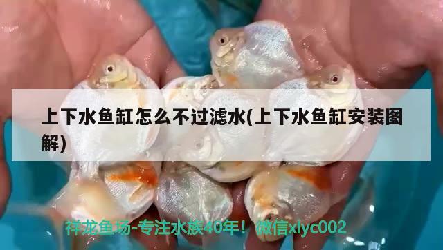 上下水魚缸怎么不過濾水(上下水魚缸安裝圖解) 彩鰈魚缸（彩蝶魚缸）