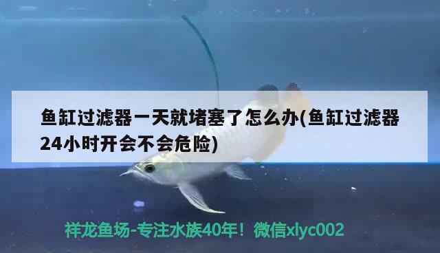 魚缸過濾器一天就堵塞了怎么辦(魚缸過濾器24小時開會不會危險)