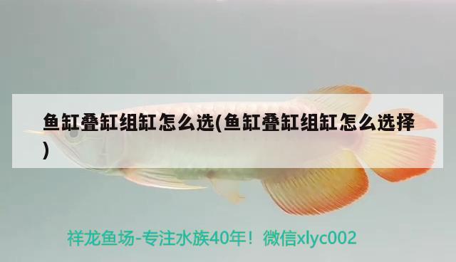 魚缸疊缸組缸怎么選(魚缸疊缸組缸怎么選擇)