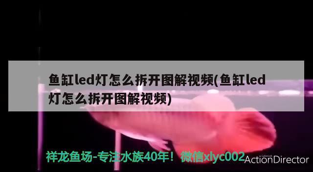 魚缸led燈怎么拆開圖解視頻(魚缸led燈怎么拆開圖解視頻)