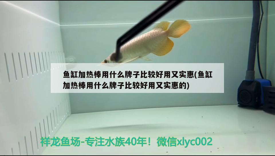 魚缸加熱棒用什么牌子比較好用又實(shí)惠(魚缸加熱棒用什么牌子比較好用又實(shí)惠的)