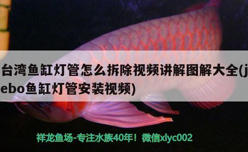 臺灣魚缸燈管怎么拆除視頻講解圖解大全(jebo魚缸燈管安裝視頻)