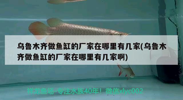 烏魯木齊做魚缸的廠家在哪里有幾家(烏魯木齊做魚缸的廠家在哪里有幾家啊)