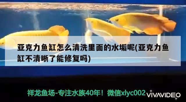 亞克力魚缸怎么清洗里面的水垢呢(亞克力魚缸不清晰了能修復嗎) 一眉道人魚