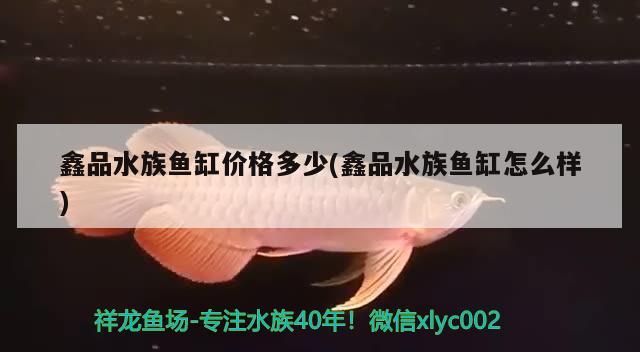 鑫品水族魚缸價(jià)格多少(鑫品水族魚缸怎么樣) 沖氧泵