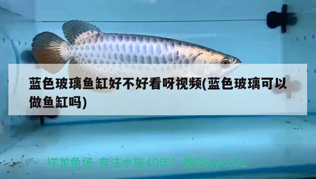 藍(lán)色玻璃魚缸好不好看呀視頻(藍(lán)色玻璃可以做魚缸嗎)