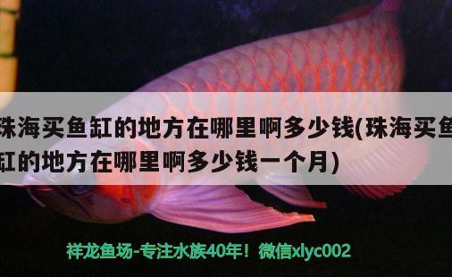 珠海買魚缸的地方在哪里啊多少錢(珠海買魚缸的地方在哪里啊多少錢一個(gè)月)