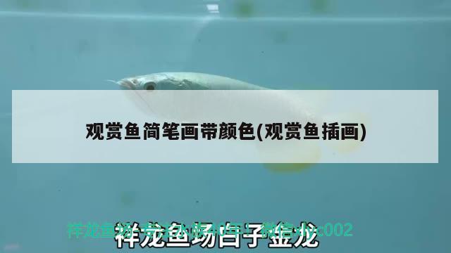 觀賞魚簡筆畫帶顏色(觀賞魚插畫) BD魟魚