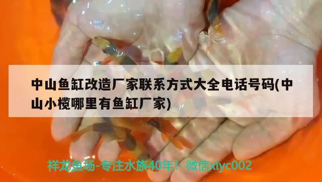 中山魚缸改造廠家聯(lián)系方式大全電話號碼(中山小欖哪里有魚缸廠家)