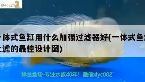 一體式魚缸用什么加強(qiáng)過濾器好(一體式魚缸上濾的最佳設(shè)計(jì)圖) 水族燈（魚缸燈）