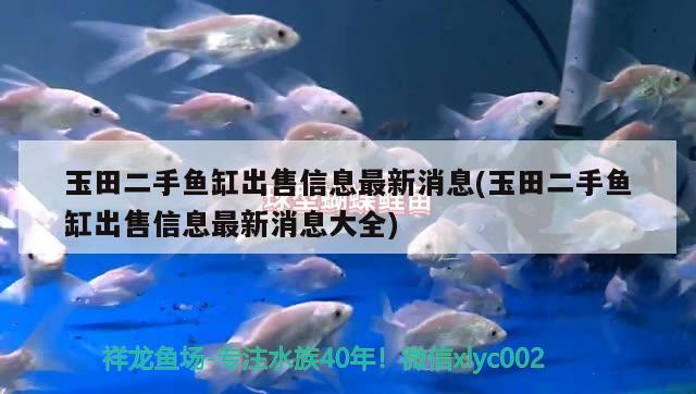 玉田二手魚缸出售信息最新消息(玉田二手魚缸出售信息最新消息大全) BD魟魚