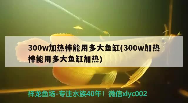 300w加熱棒能用多大魚缸(300w加熱棒能用多大魚缸加熱)