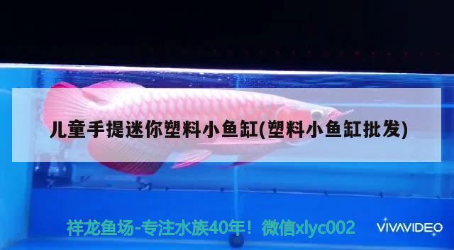 兒童手提迷你塑料小魚缸(塑料小魚缸批發(fā))