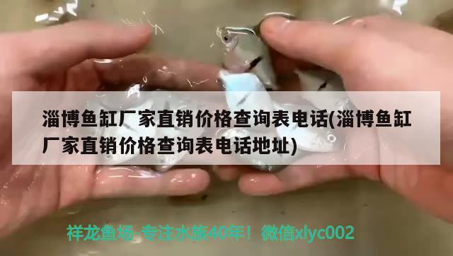 淄博魚缸廠家直銷價格查詢表電話(淄博魚缸廠家直銷價格查詢表電話地址) 祥龍水族濾材/器材