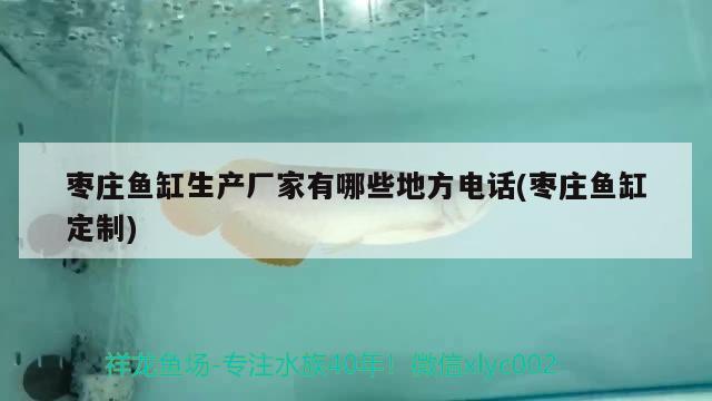 棗莊魚缸生產(chǎn)廠家有哪些地方電話(棗莊魚缸定制) 水族維護(hù)服務(wù)（上門）