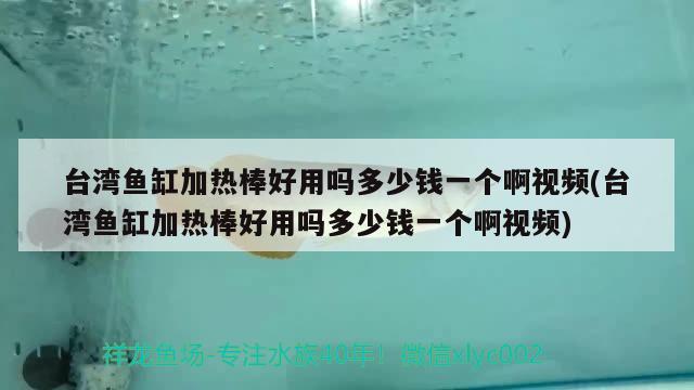 臺(tái)灣魚缸加熱棒好用嗎多少錢一個(gè)啊視頻(臺(tái)灣魚缸加熱棒好用嗎多少錢一個(gè)啊視頻) 白子銀版魚