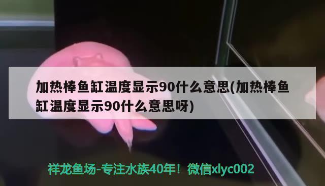 加熱棒魚缸溫度顯示90什么意思(加熱棒魚缸溫度顯示90什么意思呀) 白化火箭魚