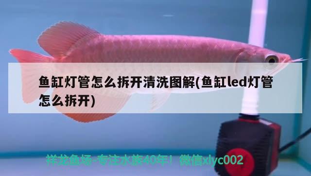 魚缸燈管怎么拆開清洗圖解(魚缸led燈管怎么拆開) 撒旦鴨嘴魚