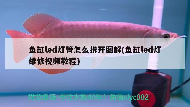 魚缸led燈管怎么拆開圖解(魚缸led燈維修視頻教程)