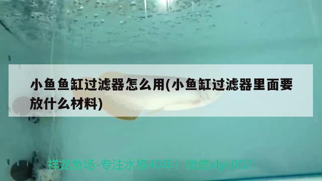 小魚魚缸過濾器怎么用(小魚缸過濾器里面要放什么材料)