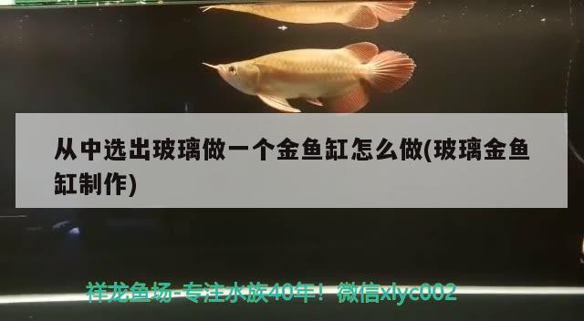 從中選出玻璃做一個金魚缸怎么做(玻璃金魚缸制作)