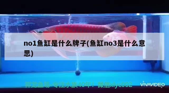 no1魚缸是什么牌子(魚缸no3是什么意思)