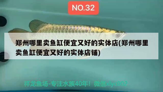 鄭州哪里賣魚缸便宜又好的實體店(鄭州哪里賣魚缸便宜又好的實體店鋪)