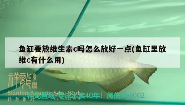 魚缸要放維生素c嗎怎么放好一點(魚缸里放維c有什么用) 雙線側(cè)魚