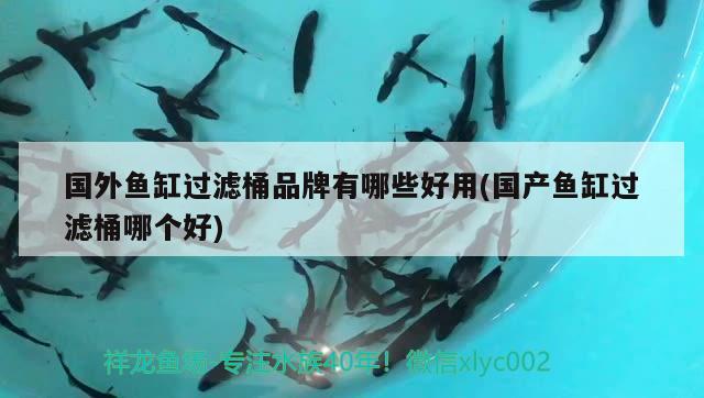 國(guó)外魚(yú)缸過(guò)濾桶品牌有哪些好用(國(guó)產(chǎn)魚(yú)缸過(guò)濾桶哪個(gè)好) 狗頭魚(yú) 第1張