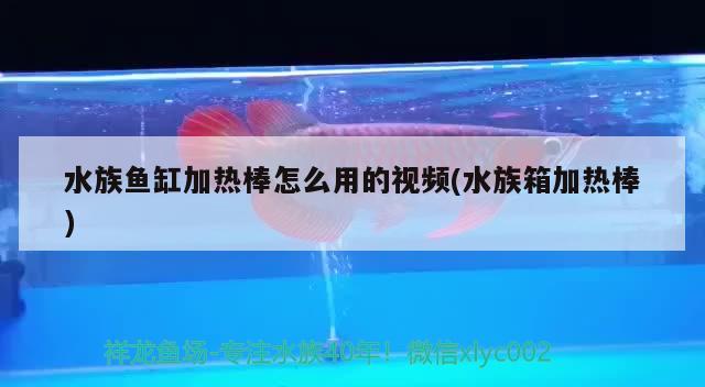 水族魚缸加熱棒怎么用的視頻(水族箱加熱棒)