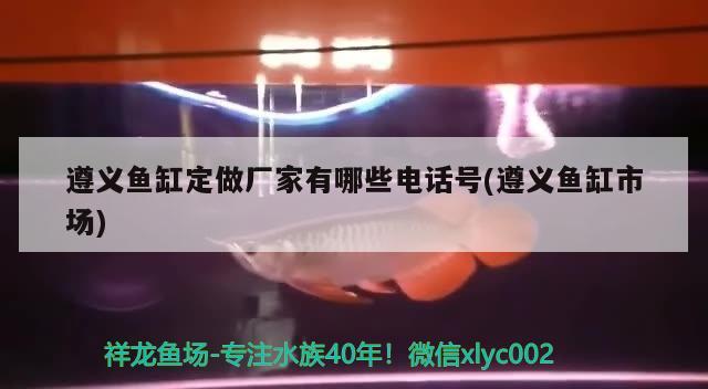 遵義魚缸定做廠家有哪些電話號(遵義魚缸市場) 其它水族用具設(shè)備